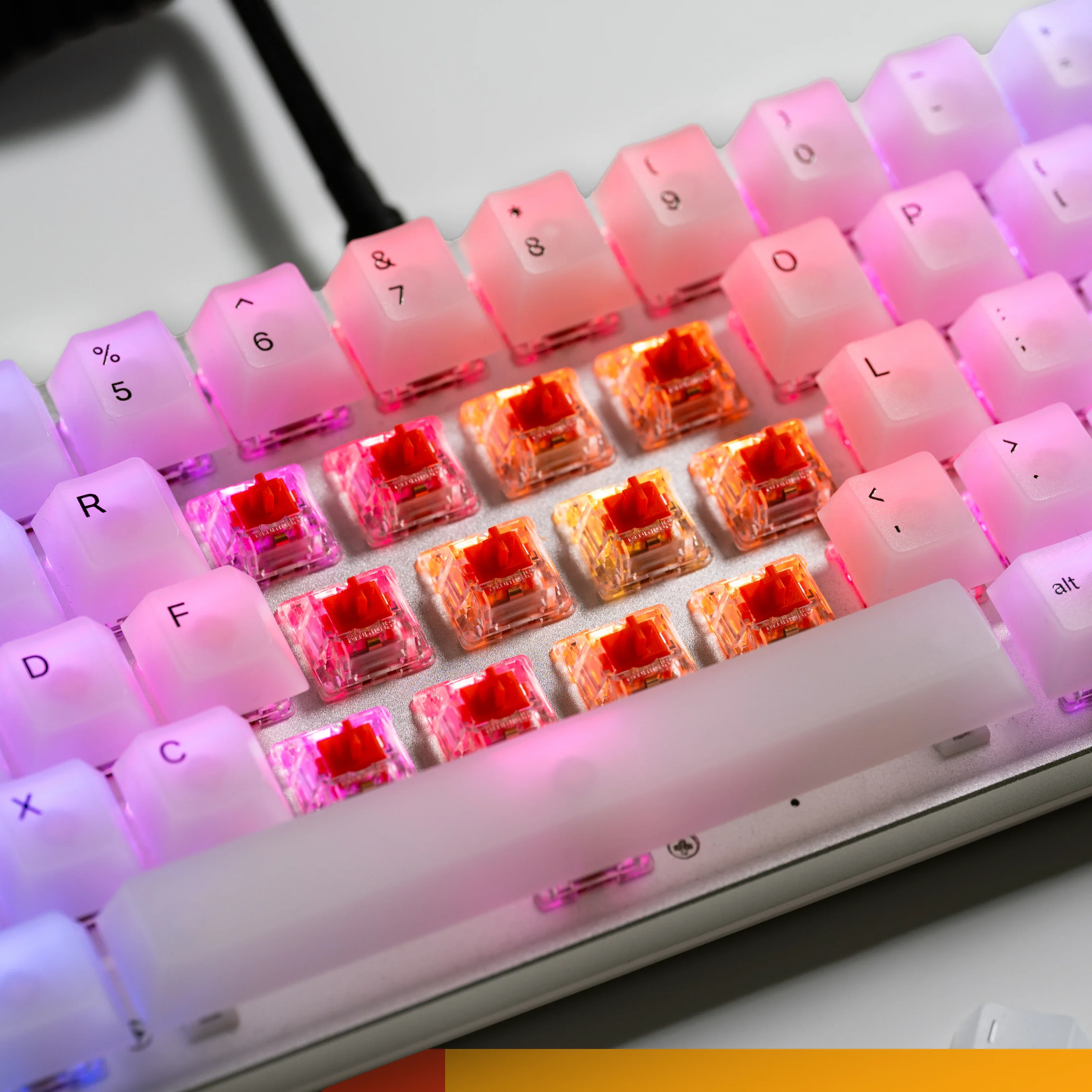 Fox MX Switches - Image 5