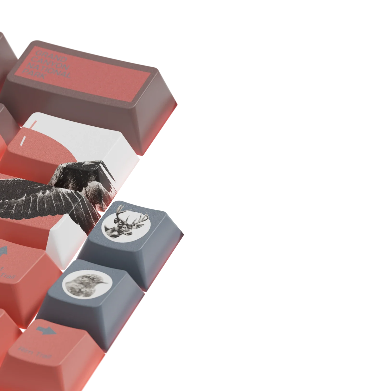 Keycaps Limited Edition Grand Canyon US - Image 4