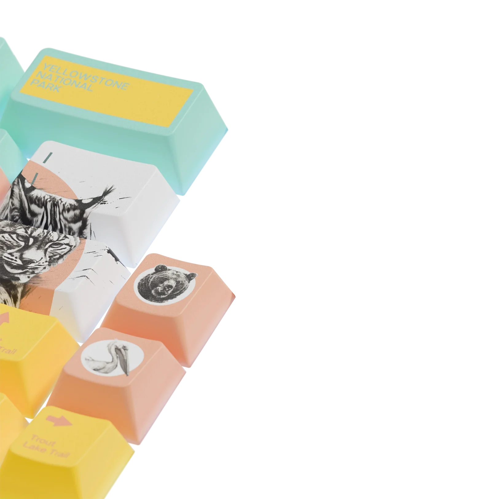 Keycaps Limited Edition Yellowstone US - Image 4