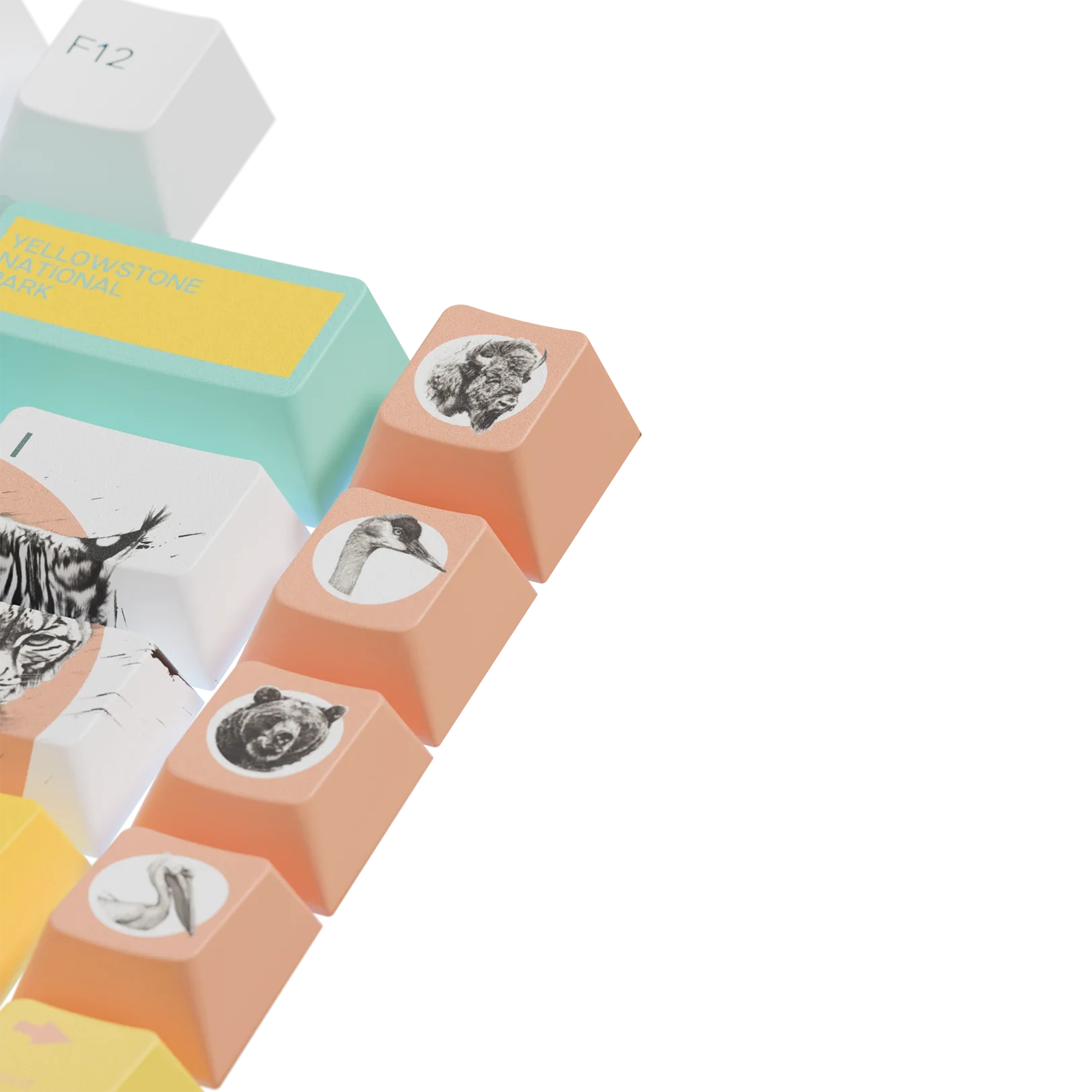 Keycaps Limited Edition Yellowstone US - Image 9