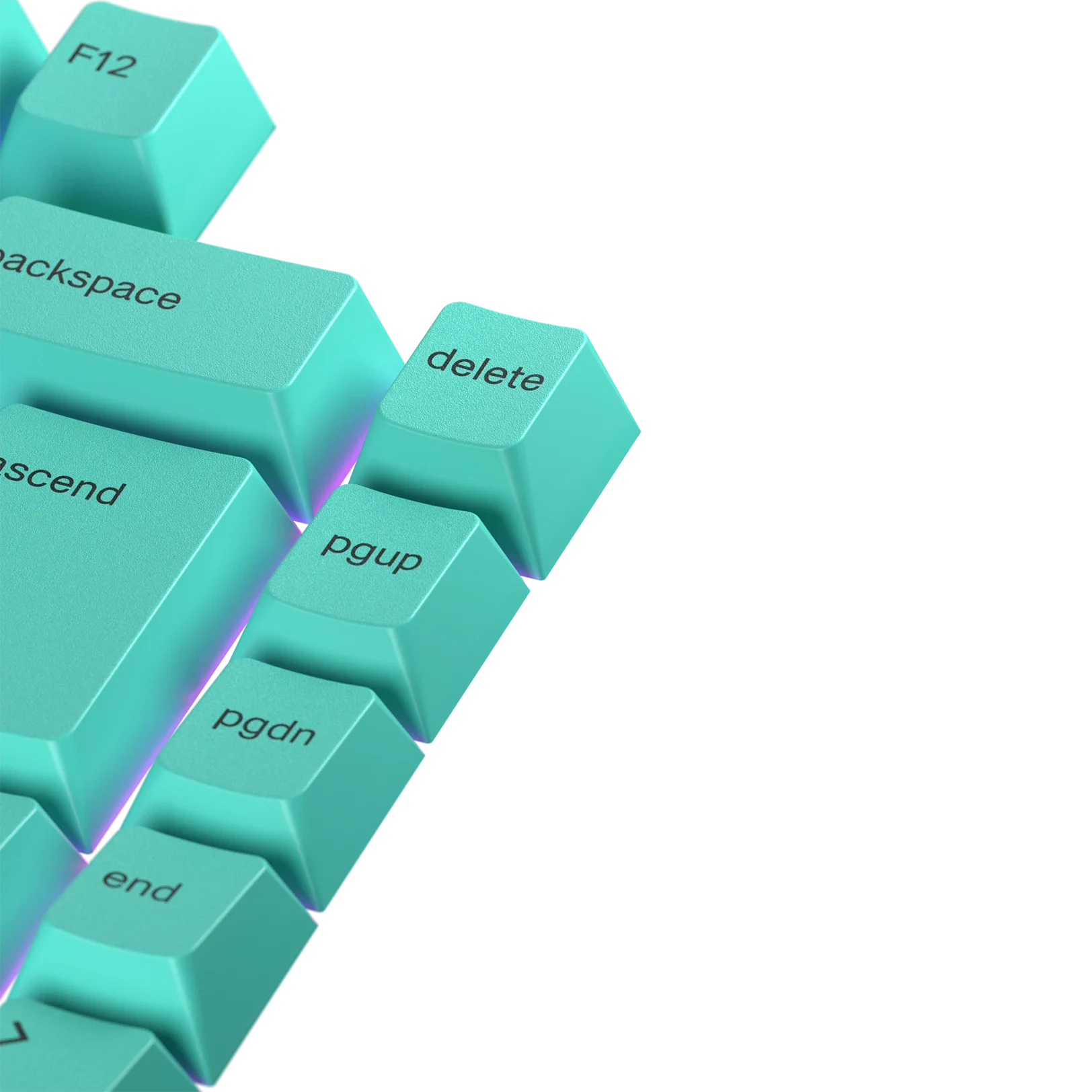 Keycaps Rainforest Nordic - Image 3
