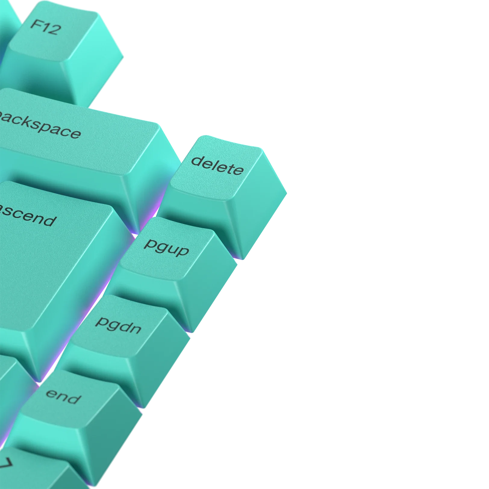 Keycaps Rainforest UK - Image 2