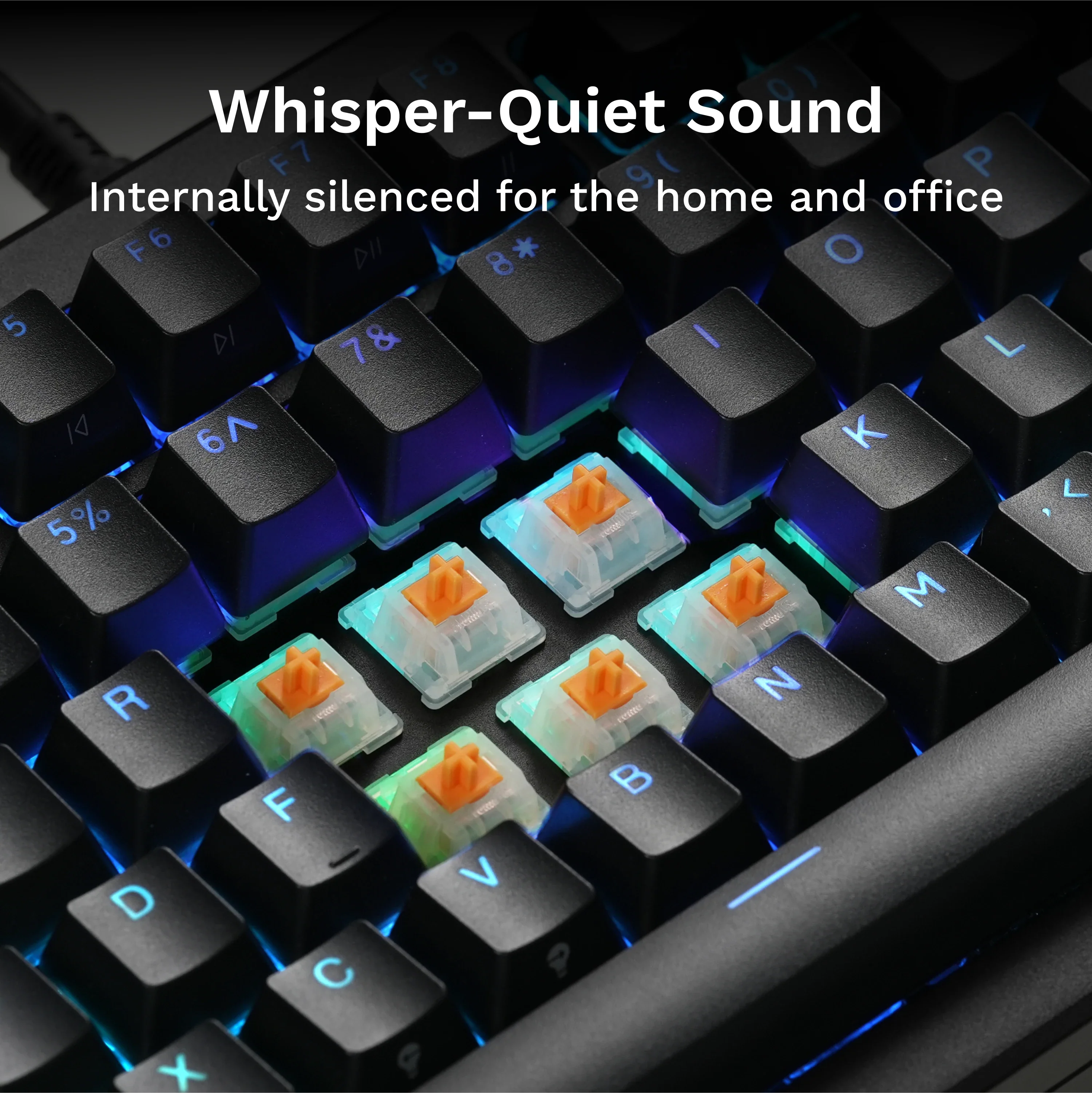 Panda MX Switches - Image 8