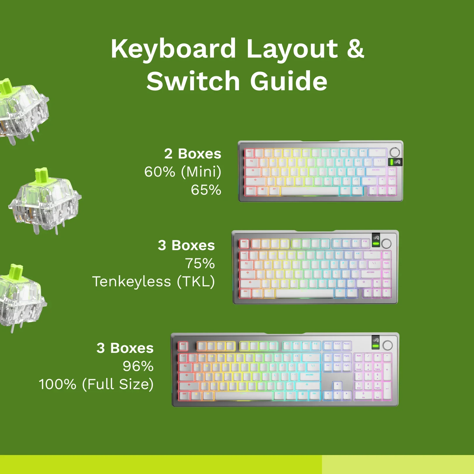 Raptor MX Switches - Image 4