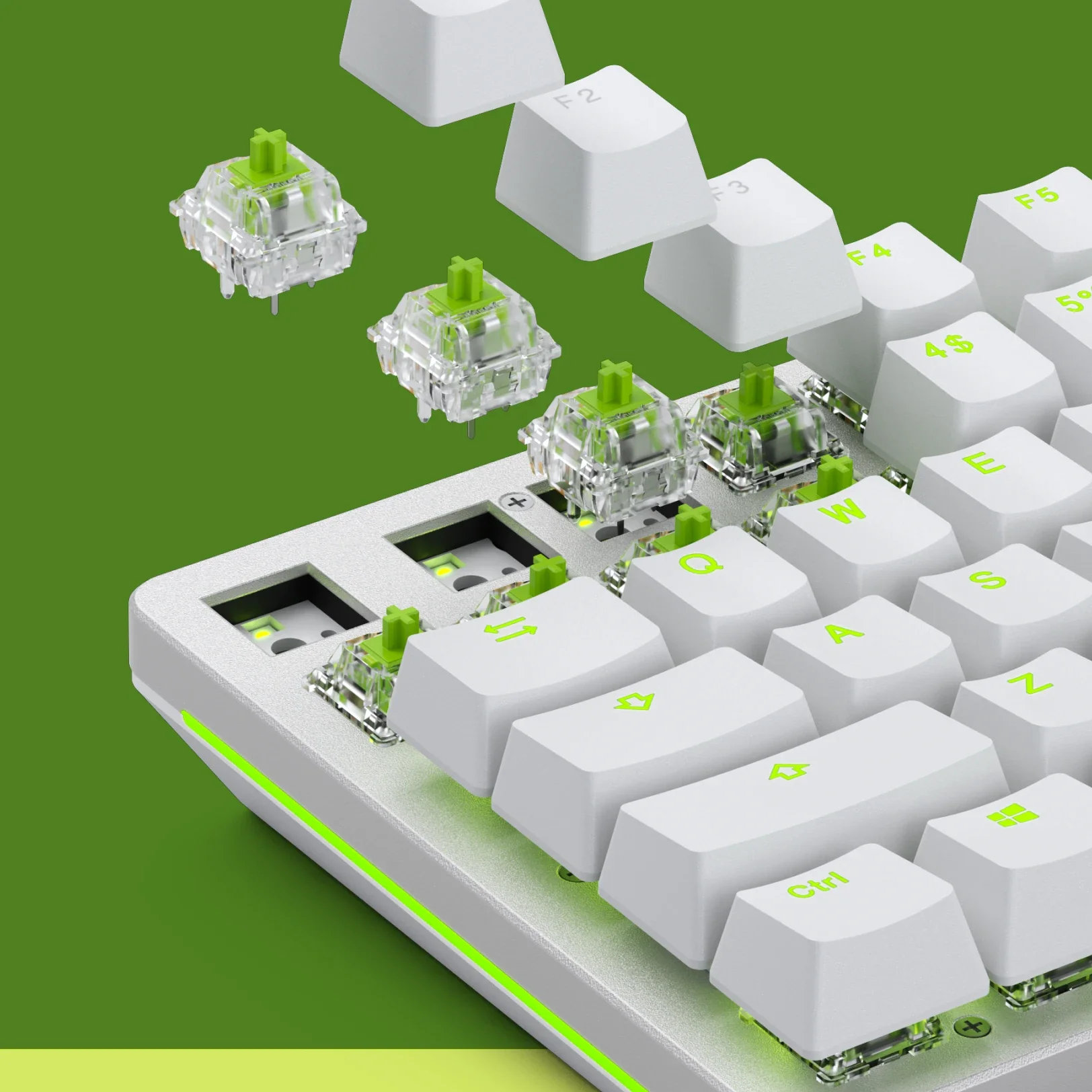 Raptor MX Switches - Image 5